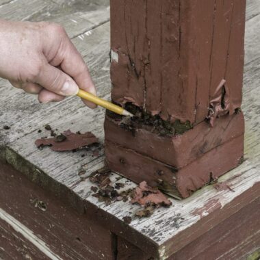 Preventing, Identifying, and Repairing Dry Rot