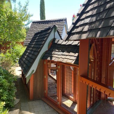 Project Highlight: Chicken Coop