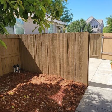 Deck and Fence Painting