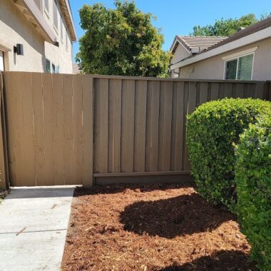 Deck and Fence Painting