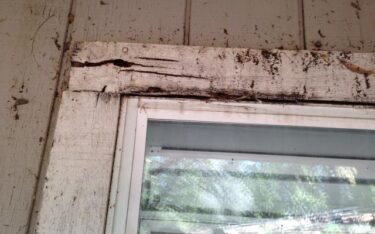 Preventing, Identifying, and Repairing Dry Rot