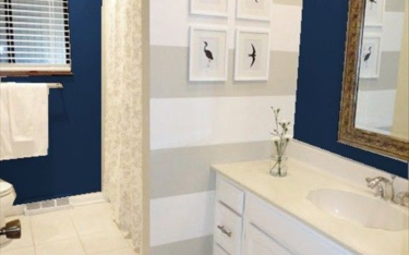 Bathroom Paint Ideas