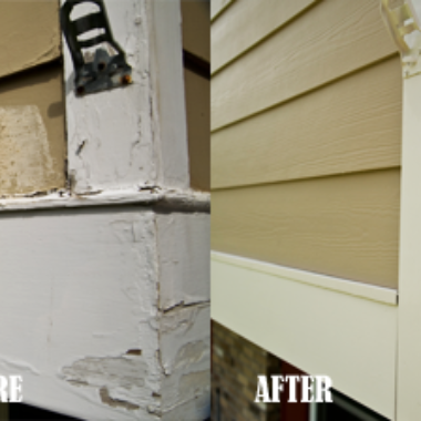 Preventing, Identifying, and Repairing Dry Rot