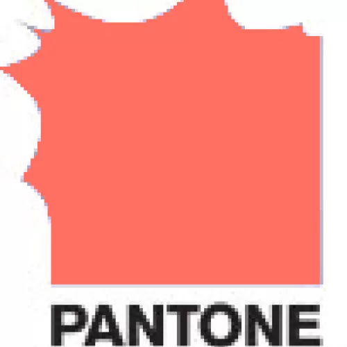  2019 Pantone Color of the Year
