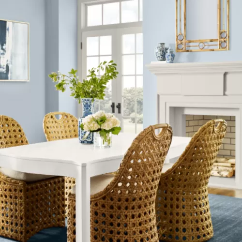  Elevate Your Space with Sherwin-Williams' 2024 Color of the Year!